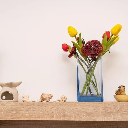 Апартаменты Family Tokic Дубровник